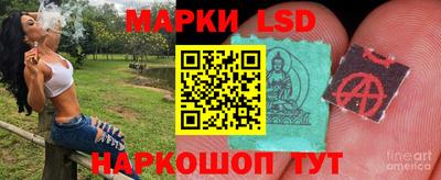 эйфоретик Будённовск