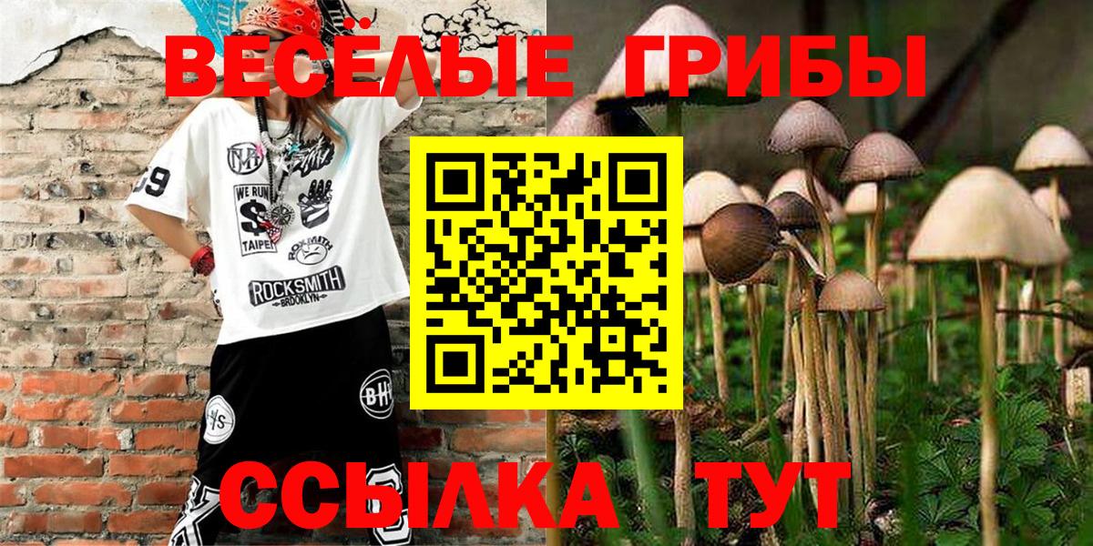 Мурманск  Псилоцибиновые грибы Psilocybe  Псилоцибиновые грибы Cubensis  Вход с VPN 